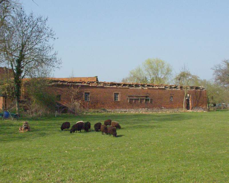 BAU.DE / BAU-Forum: 1. Bild zu Frage "Ist bei einem eingest&uuml;rztem Geb&auml;ude ein Termin gebundener Abbruchantrag zwingend?" im BAU-Forum "Architekt / Architektur"