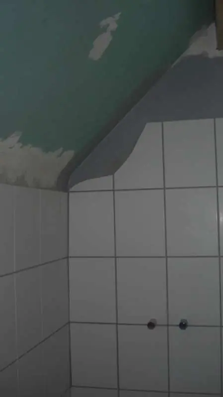 BAU.DE / BAU-Forum: 1. Bild zu Frage "Wandanstrich im Bad: Welche Farbe & welcher Putz sind geeignet? Tipps zu Feuchtigkeit & Schimmel" im BAU-Forum "Ausbauarbeiten"