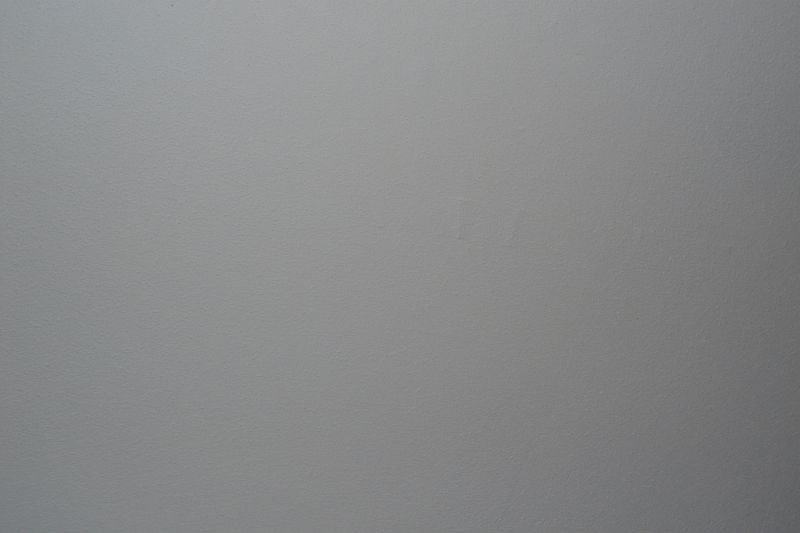 BAU.DE / BAU-Forum: 3. Bild zu Frage "W&auml;nde & Decke verspachteln: Risiken bei EMV-Vlies, Alternativen & Kosten&uuml;bernahme?" im BAU-Forum "Ausbauarbeiten"