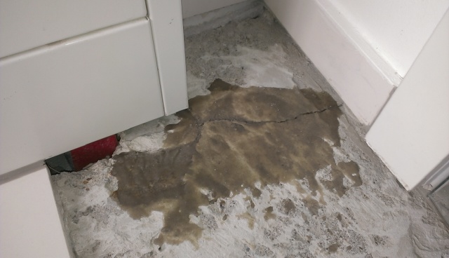 BAU.DE / BAU-Forum: 2. Bild zu Antwort "Gel&ouml;st&deg;!" auf die Frage "Fliese gerissen nach Bauabnahme: Wer zahlt? Kosten, Garantie, Ursachen" im BAU-Forum "Ausbauarbeiten"