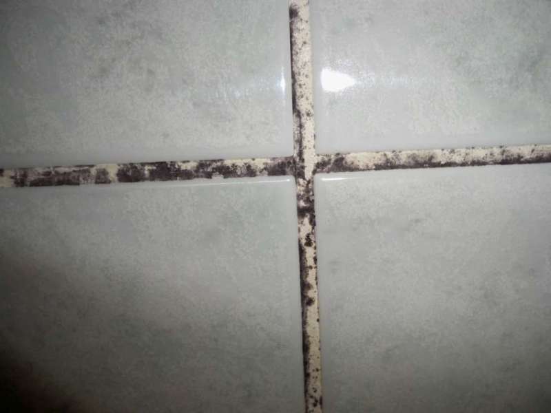 BAU.DE / BAU-Forum: 1. Bild zu Antwort "Vielen Dank f&uuml;r die schnellen Antworten..." auf die Frage "Fliesenfugen im Bad erneuern auf Gipskarton: Anleitung, Kosten & Risiken?" im BAU-Forum "Ausbauarbeiten"