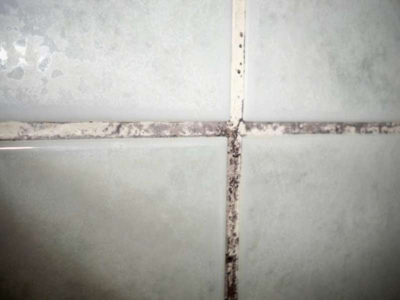 BAU.DE / BAU-Forum: 2. Bild zu Antwort "Vielen Dank f&uuml;r die schnellen Antworten..." auf die Frage "Fliesenfugen im Bad erneuern auf Gipskarton: Anleitung, Kosten & Risiken?" im BAU-Forum "Ausbauarbeiten"