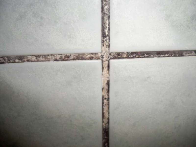 BAU.DE / BAU-Forum: 3. Bild zu Antwort "Vielen Dank f&uuml;r die schnellen Antworten..." auf die Frage "Fliesenfugen im Bad erneuern auf Gipskarton: Anleitung, Kosten & Risiken?" im BAU-Forum "Ausbauarbeiten"