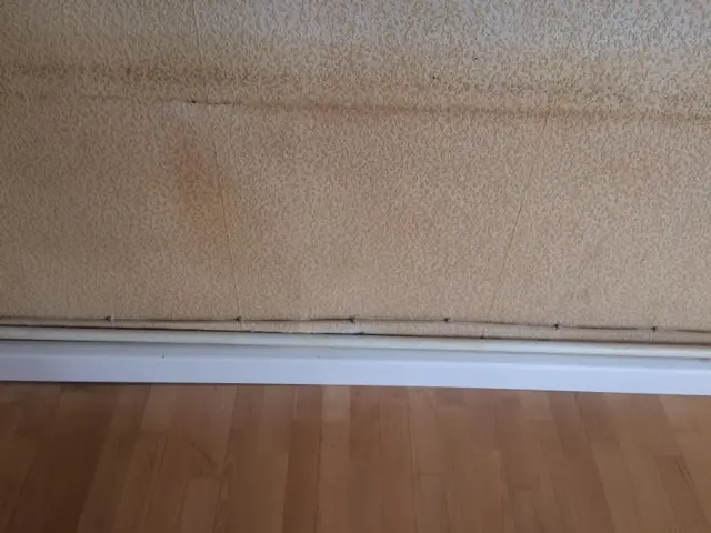 BAU.DE / BAU-Forum: 2. Bild zu Frage "Isoliergrundierung nach Raucherwohnung: Fleckenbildung, Ursachen & L&ouml;sungen f&uuml;r Altbau?" im BAU-Forum "Ausbauarbeiten"