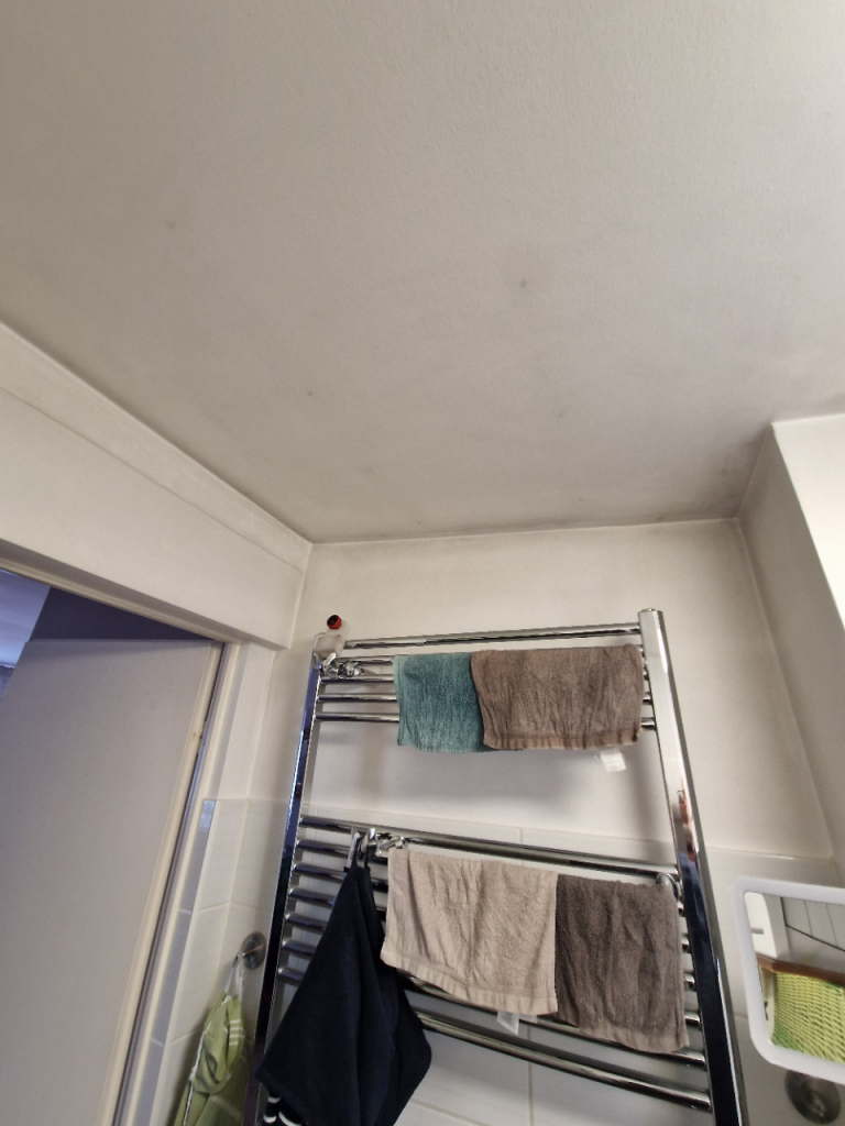 BAU.DE / BAU-Forum: 1. Bild zu Frage "Rostflecken von Schrauben in Gipskartondecke: Wie dauerhaft &uuml;berstreichen?" im BAU-Forum "Ausbauarbeiten"