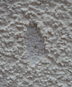 BAU.DE / BAU-Forum: 1. Bild zu Antwort "Mineralputz Schaden: Fotoanalyse der Fassadenbesch&auml;digung" auf die Frage "Mineralischer Au&szlig;enputz: Geringe Festigkeit? Ursachen, Risiken & L&ouml;sungen f&uuml;r WDVS?" im BAU-Forum "Au&szlig;enw&auml;nde und Fassaden"