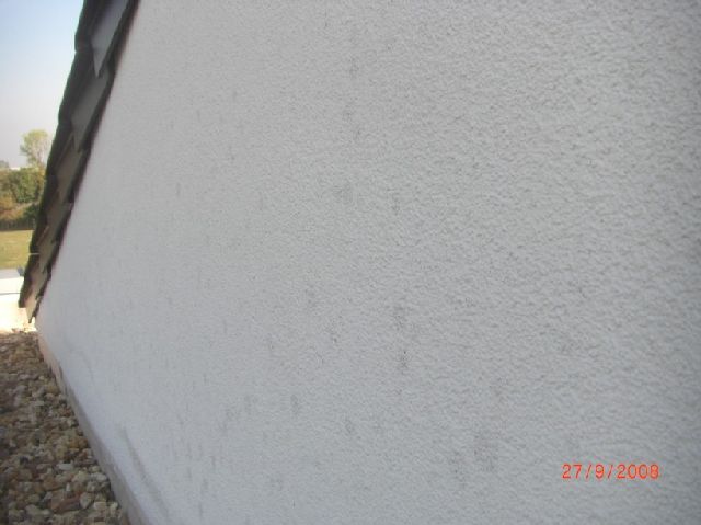 BAU.DE / BAU-Forum: 1. Bild zu Frage "Fleckiger mineralischer Au&szlig;enputz: Ursachen, Sanierung & Kosten f&uuml;r Sto-Putz?" im BAU-Forum "Au&szlig;enw&auml;nde und Fassaden"