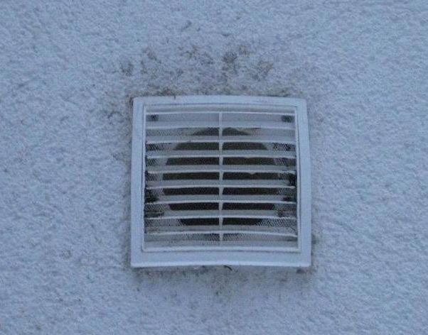 BAU.DE / BAU-Forum: 1. Bild zu Antwort "Au&szlig;enputz Feuchtigkeit: Foto 2 &ndash; Stockflecken Analyse" auf die Frage "Feuchter Au&szlig;enputz: Ursachen, Folgen & Sanierungskosten bei Stockflecken?" im BAU-Forum "Au&szlig;enw&auml;nde und Fassaden"