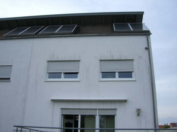 BAU.DE / BAU-Forum: 1. Bild zu Antwort "Bild 1 ..." auf die Frage "Schwarze Flecken Fassade: Algen, Schimmel oder Schmutz? Ursachen & Schnelltest" im BAU-Forum "Außenwände und Fassaden" BAU.DE / BAU-Forum: 1. Bild zu Antwort "Bild 1 ..." auf die Frage "Schwarze Flecken Fassade: Algen, Schimmel oder Schmutz? Ursachen & Schnelltest" im BAU-Forum "Außenwände und Fassaden"