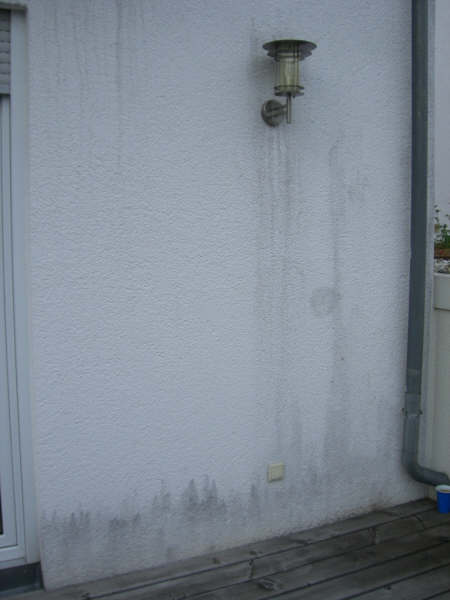 BAU.DE / BAU-Forum: 1. Bild zu Antwort "Bild 2 ..." auf die Frage "Schwarze Flecken Fassade: Algen, Schimmel oder Schmutz? Ursachen & Schnelltest" im BAU-Forum "Außenwände und Fassaden" BAU.DE / BAU-Forum: 1. Bild zu Antwort "Bild 2 ..." auf die Frage "Schwarze Flecken Fassade: Algen, Schimmel oder Schmutz? Ursachen & Schnelltest" im BAU-Forum "Außenwände und Fassaden"