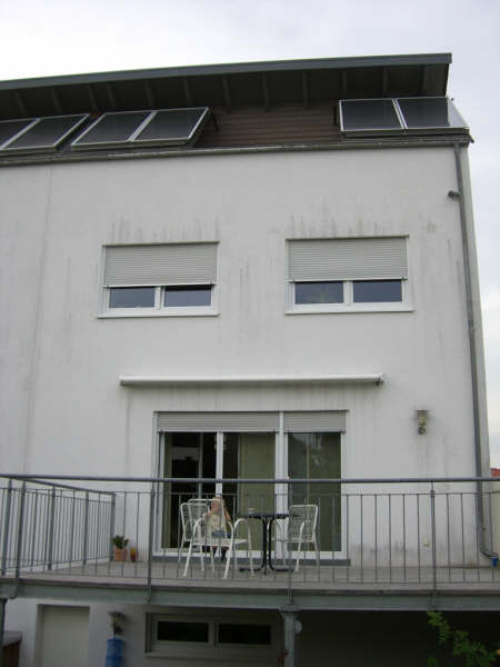 BAU.DE / BAU-Forum: 1. Bild zu Antwort "Bild 3 ..." auf die Frage "Schwarze Flecken Fassade: Algen, Schimmel oder Schmutz? Ursachen & Schnelltest" im BAU-Forum "Außenwände und Fassaden" BAU.DE / BAU-Forum: 1. Bild zu Antwort "Bild 3 ..." auf die Frage "Schwarze Flecken Fassade: Algen, Schimmel oder Schmutz? Ursachen & Schnelltest" im BAU-Forum "Außenwände und Fassaden"