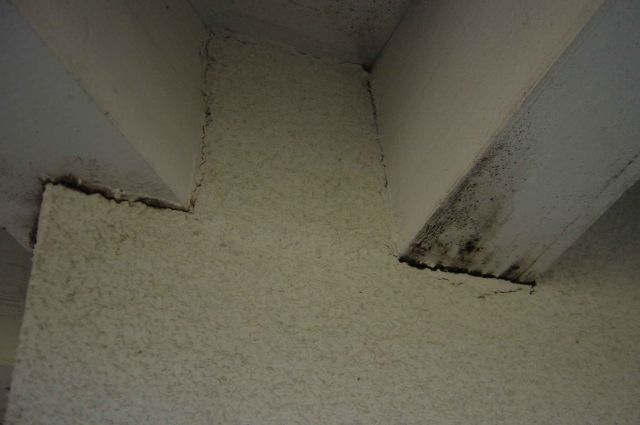 BAU.DE / BAU-Forum: 1. Bild zu Frage "Vollwärmeschutz & Schimmel am Vordach: Ursachen, Risiken & Sanierung?" im BAU-Forum "Außenwände und Fassaden" BAU.DE / BAU-Forum: 1. Bild zu Frage "Vollwärmeschutz & Schimmel am Vordach: Ursachen, Risiken & Sanierung?" im BAU-Forum "Außenwände und Fassaden"