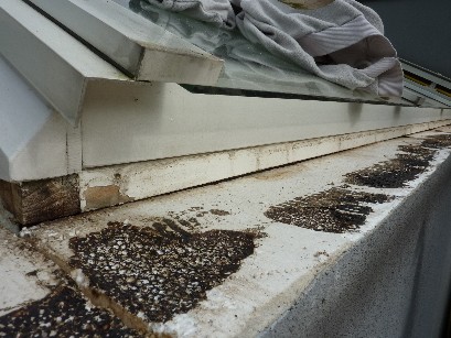 BAU.DE / BAU-Forum: 2. Bild zu Frage "Kondenswasser unter Fensterblech: Ursachen, Folgen & L&ouml;sungen f&uuml;r Wintergarten?" im BAU-Forum "Au&szlig;enw&auml;nde und Fassaden"