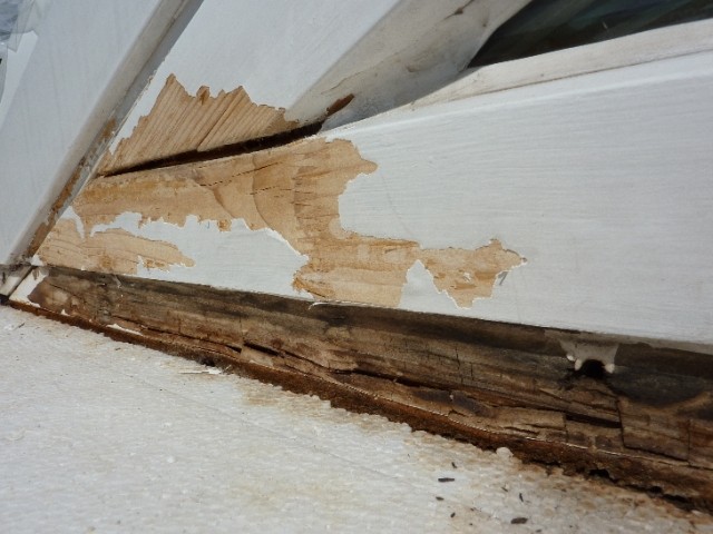 BAU.DE / BAU-Forum: 3. Bild zu Frage "Kondenswasser unter Fensterblech: Ursachen, Folgen & L&ouml;sungen f&uuml;r Wintergarten?" im BAU-Forum "Au&szlig;enw&auml;nde und Fassaden"