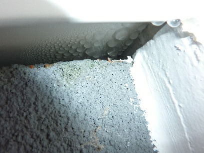 BAU.DE / BAU-Forum: 5. Bild zu Frage "Kondenswasser unter Fensterblech: Ursachen, Folgen & L&ouml;sungen f&uuml;r Wintergarten?" im BAU-Forum "Au&szlig;enw&auml;nde und Fassaden"