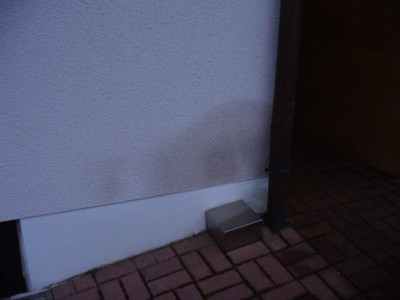 BAU.DE / BAU-Forum: 4. Bild zu Antwort "Bilder-Upload: Zus&auml;tzliches Foto des Feuchtigkeitsschadens" auf die Frage "Feuchter Putz unter Treppe: Ursachen, Kosten der Sanierung & Risiken?" im BAU-Forum "Au&szlig;enw&auml;nde und Fassaden"