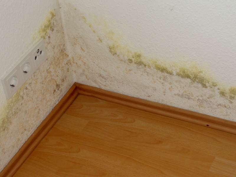 BAU.DE / BAU-Forum: 1. Bild zu Frage "Schimmel an Außenwand: Ursachen, Risiken & Maßnahmen in der Mietwohnung?" im BAU-Forum "Außenwände und Fassaden" BAU.DE / BAU-Forum: 1. Bild zu Frage "Schimmel an Außenwand: Ursachen, Risiken & Maßnahmen in der Mietwohnung?" im BAU-Forum "Außenwände und Fassaden"