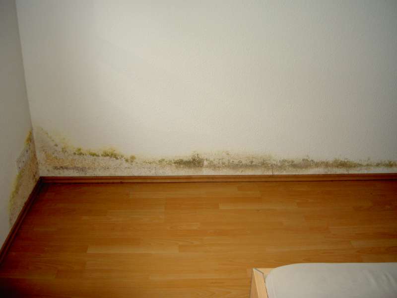 BAU.DE / BAU-Forum: 3. Bild zu Frage "Schimmel an Außenwand: Ursachen, Risiken & Maßnahmen in der Mietwohnung?" im BAU-Forum "Außenwände und Fassaden" BAU.DE / BAU-Forum: 3. Bild zu Frage "Schimmel an Außenwand: Ursachen, Risiken & Maßnahmen in der Mietwohnung?" im BAU-Forum "Außenwände und Fassaden"