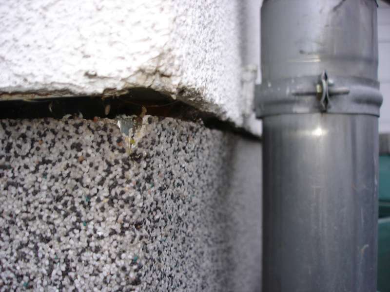 BAU.DE / BAU-Forum: 2. Bild zu Frage "Sockelputz l&ouml;st sich vom Haus: Ursachen, Risiken & Sanierungskosten?" im BAU-Forum "Au&szlig;enw&auml;nde und Fassaden"