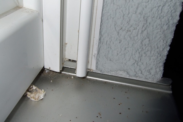 BAU.DE / BAU-Forum: 3. Bild zu Frage "WDVS M&auml;ngel beheben: Ursachen, Sanierung & Kosten im &Uuml;berblick?" im BAU-Forum "Au&szlig;enw&auml;nde und Fassaden"