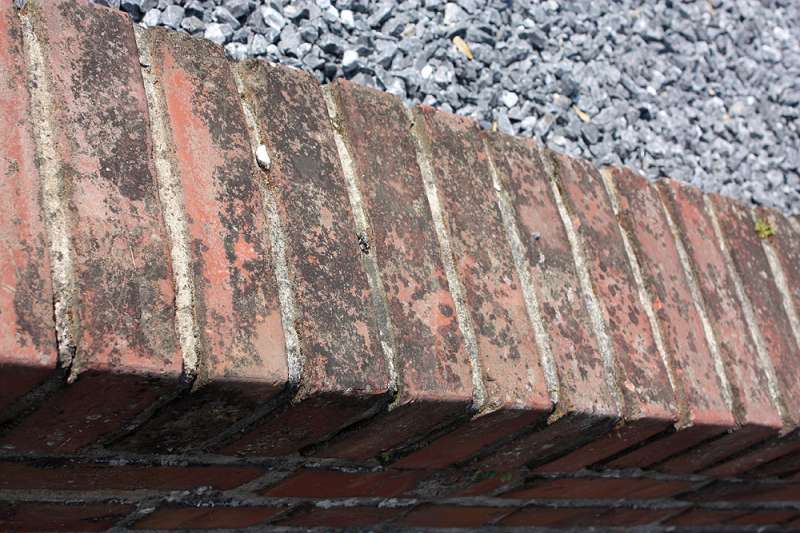 BAU.DE / BAU-Forum: 3. Bild zu Frage "Backsteinmauer reinigen: Flechten, Moose & Patina entfernen – Methoden & Risiken?" im BAU-Forum "Außenwände und Fassaden" BAU.DE / BAU-Forum: 3. Bild zu Frage "Backsteinmauer reinigen: Flechten, Moose & Patina entfernen – Methoden & Risiken?" im BAU-Forum "Außenwände und Fassaden"