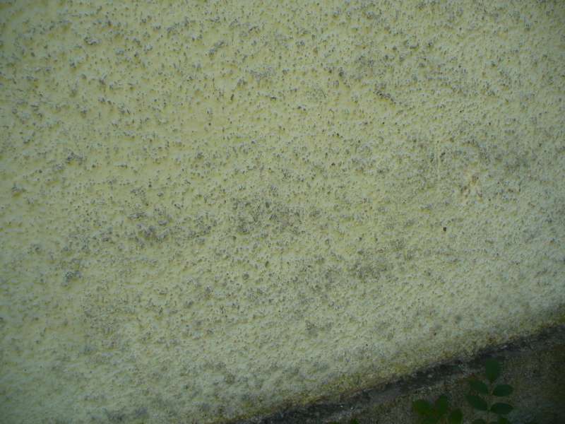 BAU.DE / BAU-Forum: 5. Bild zu Frage "Alten Putz ausbessern: Anleitung, Kosten & geeignete Fassadenfarbe f&uuml;r Wetterseite?" im BAU-Forum "Au&szlig;enw&auml;nde und Fassaden"