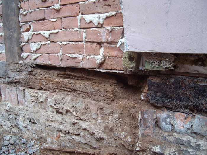 BAU.DE / BAU-Forum: 1. Bild zu Antwort "Feuchtesch&auml;den an Holz: Bilder & Warnung vor Austausch!" auf die Frage "Vollw&auml;rmeschutz vs. 36,5er Ziegel: Kosten, D&auml;mmwert & Vor-Nachteile im Vergleich?" im BAU-Forum "Au&szlig;enw&auml;nde und Fassaden"