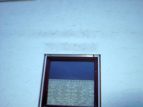 BAU.DE / BAU-Forum: 4. Bild zu Frage "Schwarze Flecken Fassade: Ursachen, Entfernung & Vorbeugung bei Putzfassade?" im BAU-Forum "Au&szlig;enw&auml;nde und Fassaden"