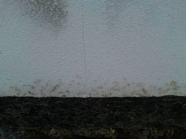 BAU.DE / BAU-Forum: 3. Bild zu Antwort "WDVS Sockel: Fotos &ndash; Risse in Perimeterd&auml;mmung sichtbar" auf die Frage "WDVS Sockel: Schimmelbildung nach Schneeschmelze &ndash; Ursachen, Verantwortlichkeiten & Kosten?" im BAU-Forum "Au&szlig;enw&auml;nde und Fassaden"