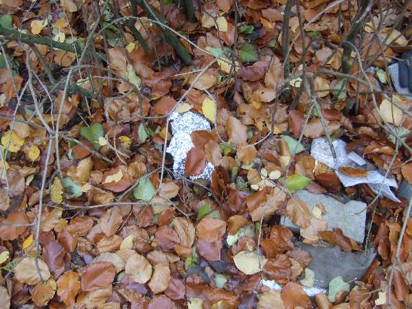 BAU.DE / BAU-Forum: 1. Bild zu Antwort "EnEV-Bauzerst&ouml;rung: WDVS-Sch&auml;den und Umweltbelastung durch D&auml;mmung" auf die Frage "WDVS D&auml;mmplatten Farben (wei&szlig;, grau, rosa): Unterschiede, Vor- & Nachteile?" im BAU-Forum "Au&szlig;enw&auml;nde und Fassaden"