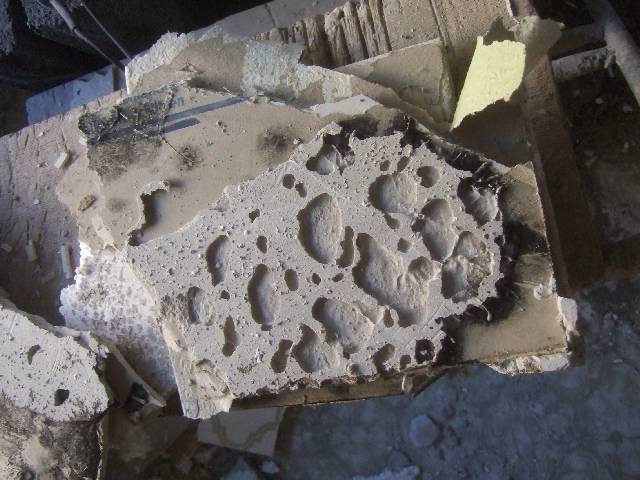 BAU.DE / BAU-Forum: 1. Bild zu Antwort "Wahnsinn-W&auml;rmed&auml;mmung: Styropor-Gedanken vor 5 Jahren?" auf die Frage "W&auml;rmed&auml;mmung sinnvoll? Risiken, Alternativen & Kosten im &Uuml;berblick" im BAU-Forum "Au&szlig;enw&auml;nde und Fassaden"