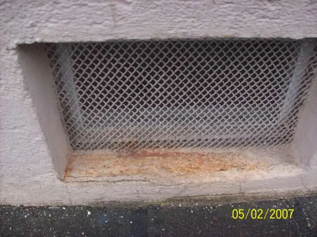 BAU.DE / BAU-Forum: 2. Bild zu Frage "Feuchte W&auml;nde in Wohnung: Ursachen, Schimmelbildung & Sanierungsm&ouml;glichkeiten?" im BAU-Forum "Au&szlig;enw&auml;nde und Fassaden"