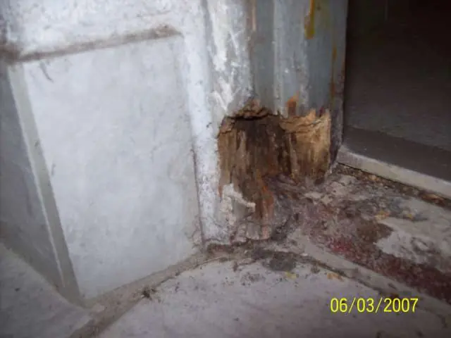 BAU.DE / BAU-Forum: 4. Bild zu Frage "Feuchte W&auml;nde in Wohnung: Ursachen, Schimmelbildung & Sanierungsm&ouml;glichkeiten?" im BAU-Forum "Au&szlig;enw&auml;nde und Fassaden"