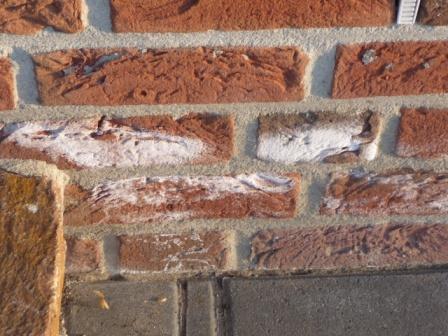 BAU.DE / BAU-Forum: 4. Bild zu Frage "Ausblühungen am Verblender entfernen: Ursachen, Reinigung & Schutzmaßnahmen?" im BAU-Forum "Außenwände und Fassaden" BAU.DE / BAU-Forum: 4. Bild zu Frage "Ausblühungen am Verblender entfernen: Ursachen, Reinigung & Schutzmaßnahmen?" im BAU-Forum "Außenwände und Fassaden"