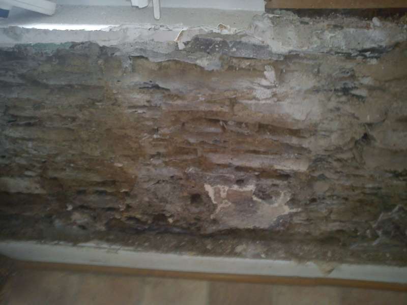 BAU.DE / BAU-Forum: 2. Bild zu Frage "Natursteinmauer sanieren: Trockenlegung, Innend&auml;mmung & Risiken im Altbau?" im BAU-Forum "Au&szlig;enw&auml;nde und Fassaden"