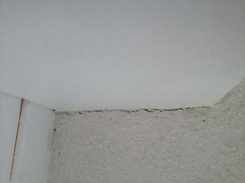 BAU.DE / BAU-Forum: 3. Bild zu Frage "Holzuntersicht Au&szlig;enputz: Korrekte Ausf&uuml;hrung, Vermeidung von Rissen & Alternativen zur Acrylfuge?" im BAU-Forum "Au&szlig;enw&auml;nde und Fassaden"