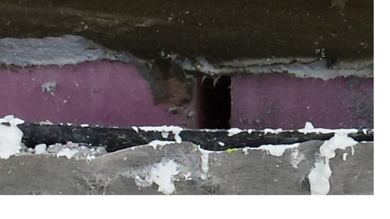 BAU.DE / BAU-Forum: 1. Bild zu Frage "Perimeterd&auml;mmung Keller: Spaltma&szlig;e pr&uuml;fen & fachgerecht nachbessern? Kosten?" im BAU-Forum "Au&szlig;enw&auml;nde und Fassaden"