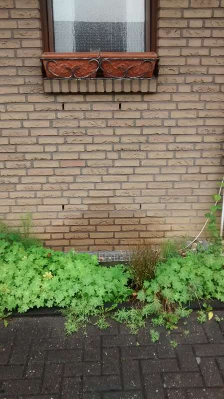 BAU.DE / BAU-Forum: 1. Bild zu Frage "2 schalige hinterlüftete Klinkerfassade Wasserschäden?" im BAU-Forum "Außenwände und Fassaden" BAU.DE / BAU-Forum: 1. Bild zu Frage "2 schalige hinterlüftete Klinkerfassade Wasserschäden?" im BAU-Forum "Außenwände und Fassaden"