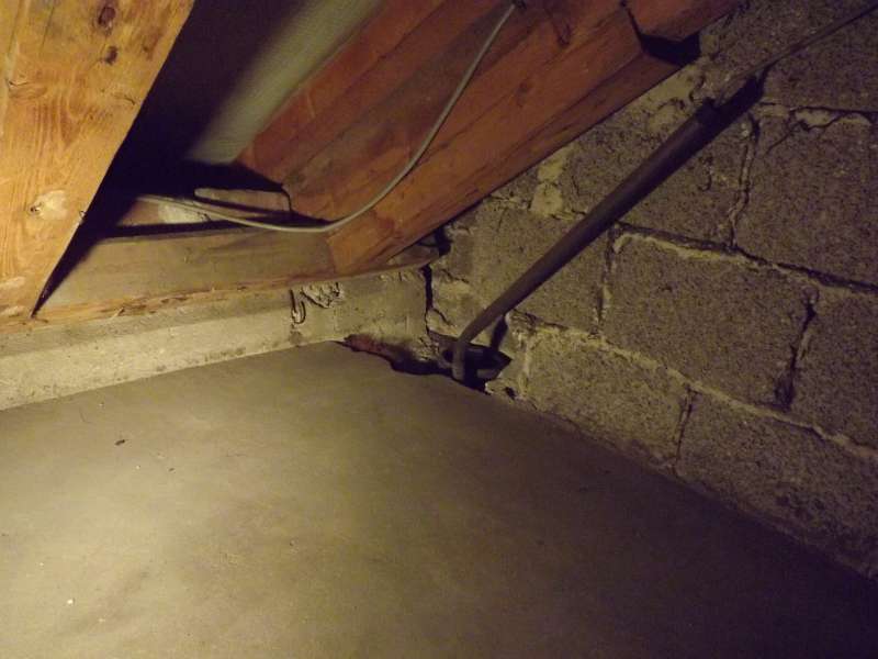 BAU.DE / BAU-Forum: 5. Bild zu Frage "Feuchtigkeitsschaden Au&szlig;enwand mit innenliegendem Fallrohr" im BAU-Forum "Au&szlig;enw&auml;nde und Fassaden"