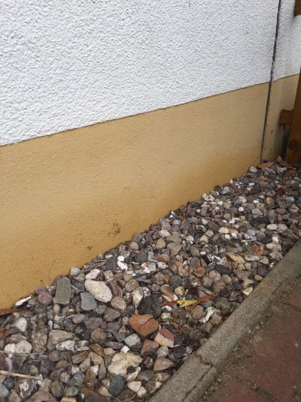 BAU.DE / BAU-Forum: 4. Bild zu Frage "Aufsteigende Feuchtigkeit Putzfassade" im BAU-Forum "Au&szlig;enw&auml;nde und Fassaden"