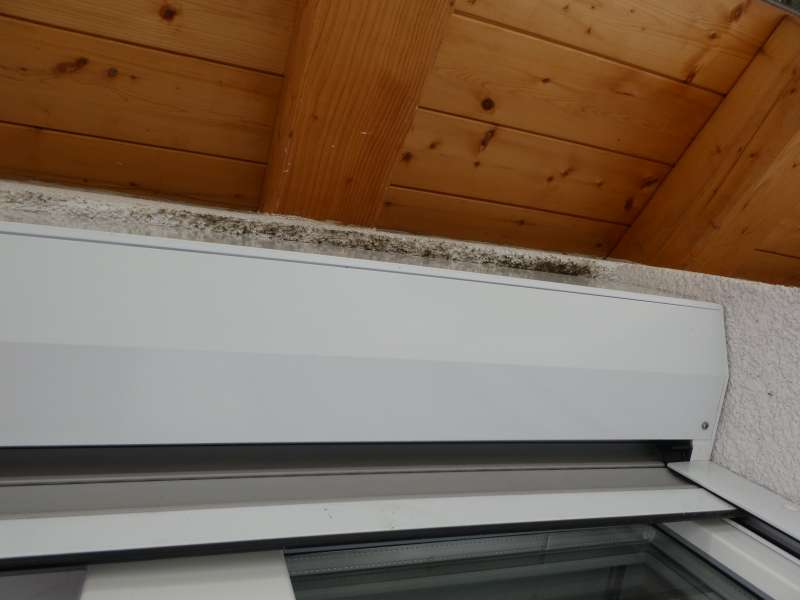 BAU.DE / BAU-Forum: 3. Bild zu Frage "Schimmel au&szlig;en zwischen Rollladenkasten und Au&szlig;enputz &nbsp;-&nbsp; Wie am besten entfernen?" im BAU-Forum "Au&szlig;enw&auml;nde und Fassaden"