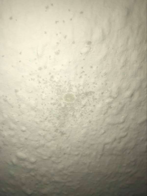 BAU.DE / BAU-Forum: 1. Bild zu Frage "Ist das Schimmel?" im BAU-Forum "Au&szlig;enw&auml;nde und Fassaden"