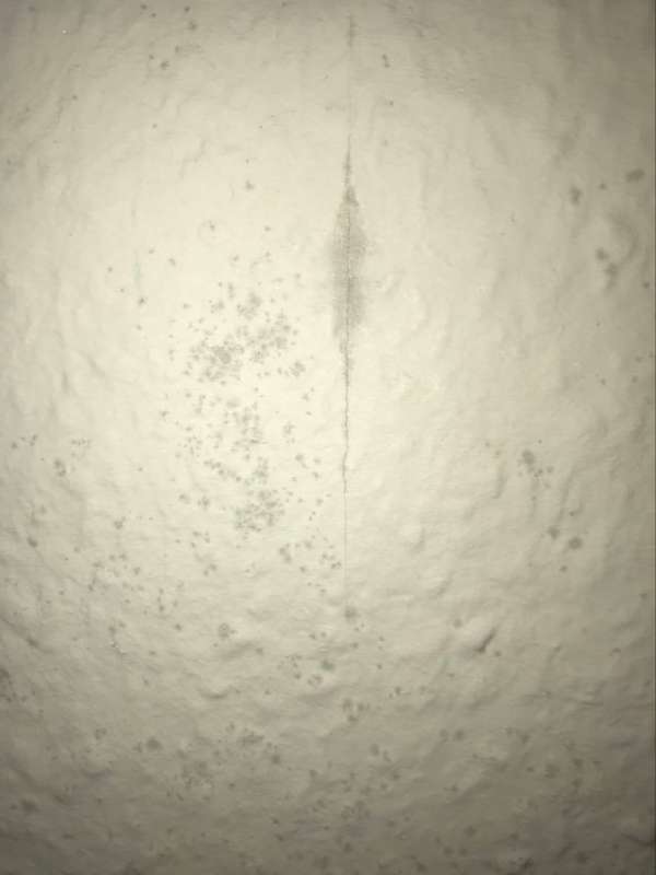 BAU.DE / BAU-Forum: 2. Bild zu Frage "Ist das Schimmel?" im BAU-Forum "Au&szlig;enw&auml;nde und Fassaden"