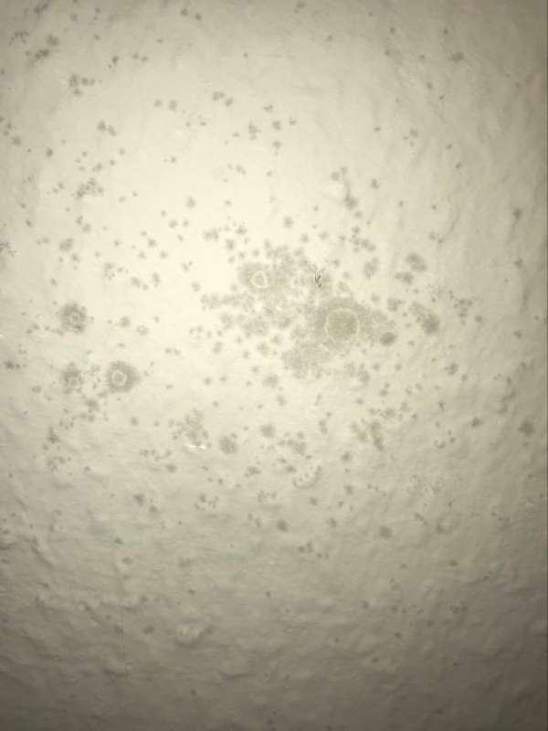 BAU.DE / BAU-Forum: 4. Bild zu Frage "Ist das Schimmel?" im BAU-Forum "Au&szlig;enw&auml;nde und Fassaden"