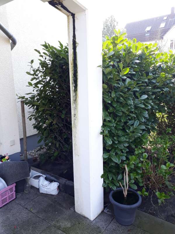 BAU.DE / BAU-Forum: 2. Bild zu Frage "Rost- und Algenwasser (Rostwasser, Algenwasser) kommt aus Terrassenpfeiler" im BAU-Forum "Außenwände und Fassaden" BAU.DE / BAU-Forum: 2. Bild zu Frage "Rost- und Algenwasser (Rostwasser, Algenwasser) kommt aus Terrassenpfeiler" im BAU-Forum "Außenwände und Fassaden"