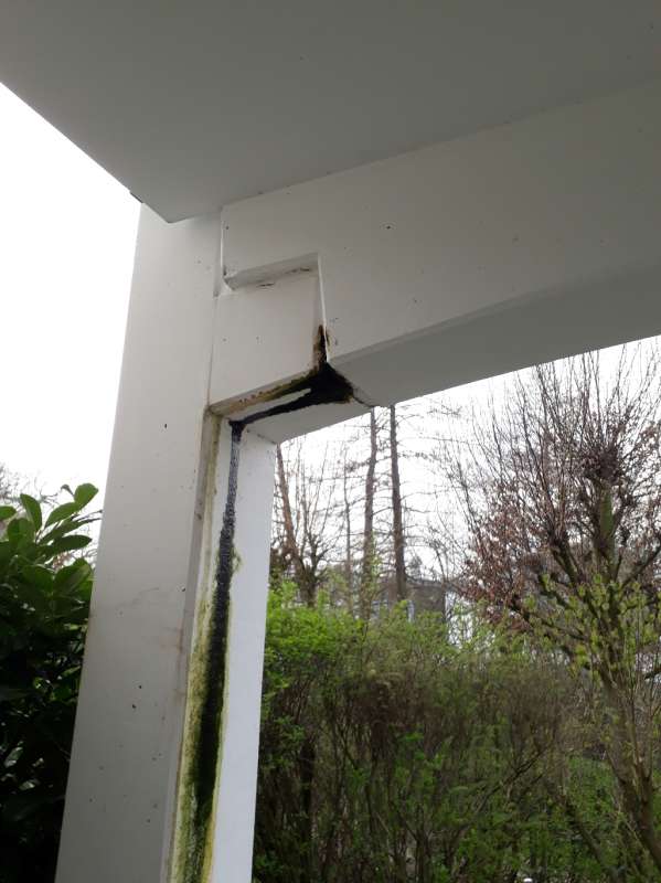 BAU.DE / BAU-Forum: 3. Bild zu Frage "Rost- und Algenwasser (Rostwasser, Algenwasser) kommt aus Terrassenpfeiler" im BAU-Forum "Außenwände und Fassaden" BAU.DE / BAU-Forum: 3. Bild zu Frage "Rost- und Algenwasser (Rostwasser, Algenwasser) kommt aus Terrassenpfeiler" im BAU-Forum "Außenwände und Fassaden"