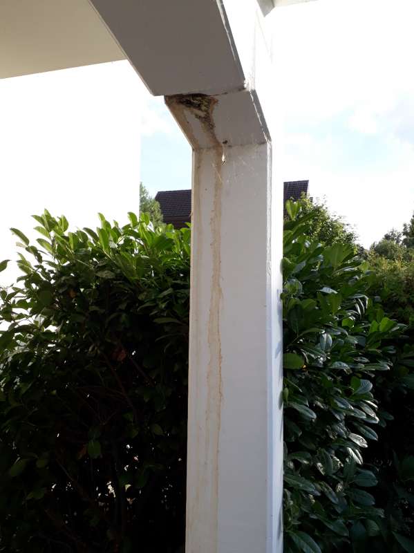 BAU.DE / BAU-Forum: 4. Bild zu Frage "Rost- und Algenwasser (Rostwasser, Algenwasser) kommt aus Terrassenpfeiler" im BAU-Forum "Außenwände und Fassaden" BAU.DE / BAU-Forum: 4. Bild zu Frage "Rost- und Algenwasser (Rostwasser, Algenwasser) kommt aus Terrassenpfeiler" im BAU-Forum "Außenwände und Fassaden"
