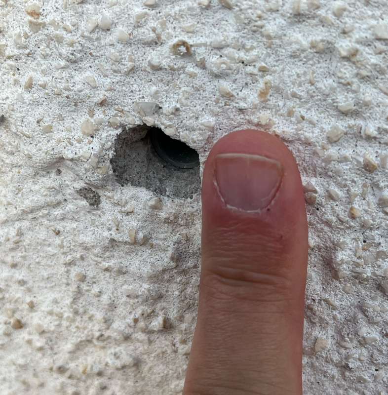 BAU.DE / BAU-Forum: 2. Bild zu Frage "Unerklärliche Plastikkappen mit Kabel im Außenputz: Ursache und Funktion?" im BAU-Forum "Außenwände und Fassaden" BAU.DE / BAU-Forum: 2. Bild zu Frage "Unerklärliche Plastikkappen mit Kabel im Außenputz: Ursache und Funktion?" im BAU-Forum "Außenwände und Fassaden"