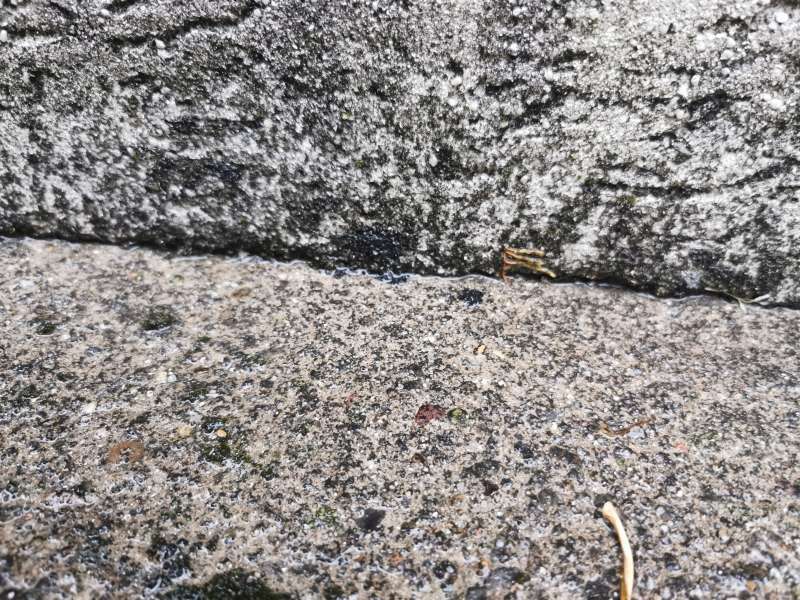 BAU.DE / BAU-Forum: 2. Bild zu Frage "Maßnahmen zur Ableitung von Regenwasser von der Hauswand und Verlängerung des Dachvorsprungs" im BAU-Forum "Außenwände und Fassaden" BAU.DE / BAU-Forum: 2. Bild zu Frage "Maßnahmen zur Ableitung von Regenwasser von der Hauswand und Verlängerung des Dachvorsprungs" im BAU-Forum "Außenwände und Fassaden"