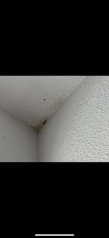 BAU.DE / BAU-Forum: 5. Bild zu Antwort "Wasserschaden Fassade" auf die Frage "Wasserschaden Fassade: Ursachen, Trocknung, Reparatur & Kosten für Eigentümer?" im BAU-Forum "Außenwände und Fassaden" BAU.DE / BAU-Forum: 5. Bild zu Antwort "Wasserschaden Fassade" auf die Frage "Wasserschaden Fassade: Ursachen, Trocknung, Reparatur & Kosten für Eigentümer?" im BAU-Forum "Außenwände und Fassaden"